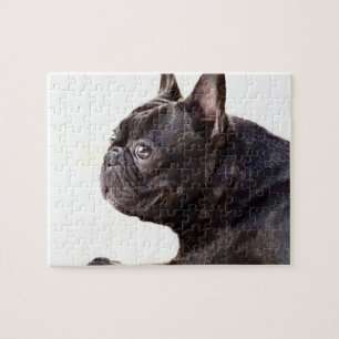 French Bulldog Jigsaw Puzzle