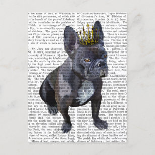 French Bulldog King Postcard