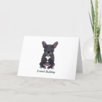 French Bulldog l