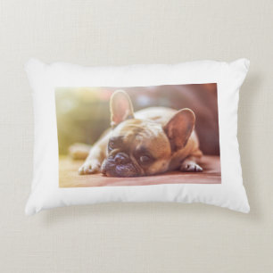 french bulldog laying decorative cushion