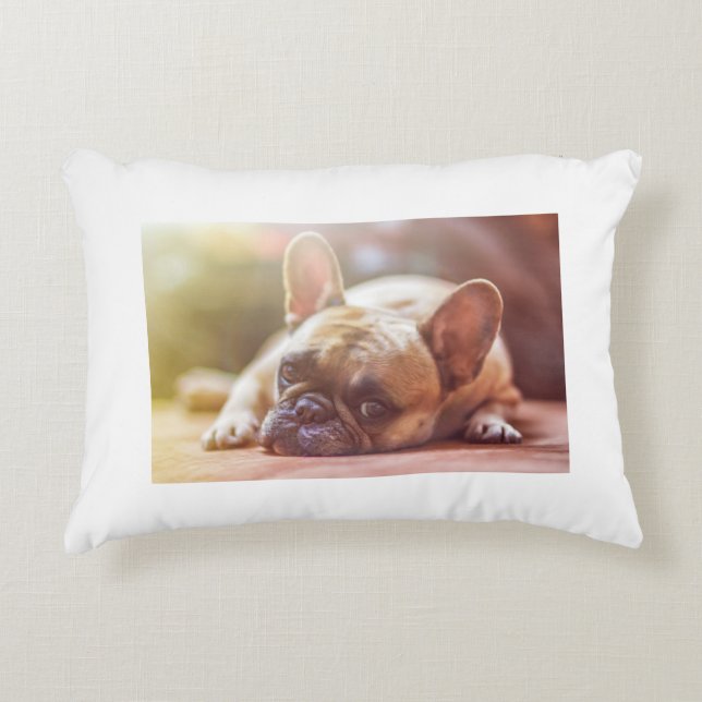 french bulldog laying decorative cushion (Front)