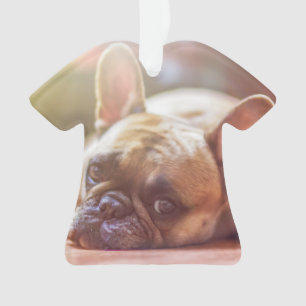 french bulldog laying ornament