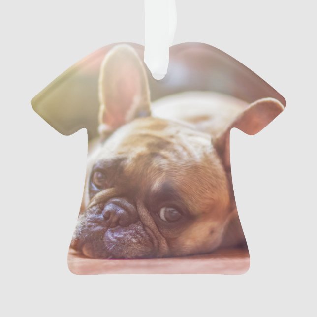 french bulldog laying ornament (Front)