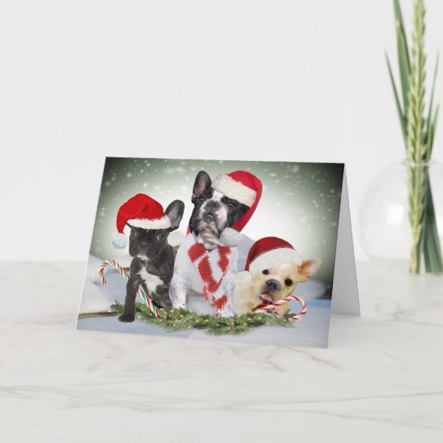 French Bulldog Let It Snow Cards (Front)