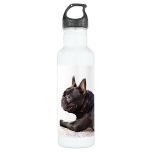 French Bulldog Liberty 710 Ml Water Bottle