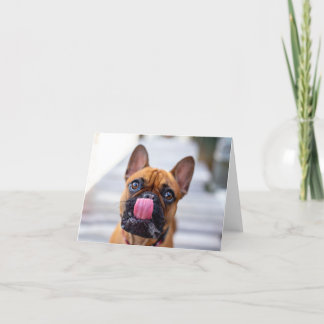 french bulldog licks thank you card