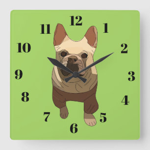 French Bulldog, Lime Green Square Wall Clock