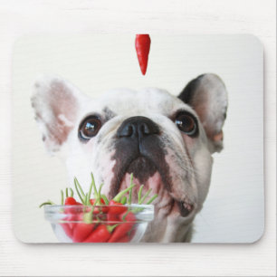 French Bulldog Looking At A Red Pepper Mouse Mat