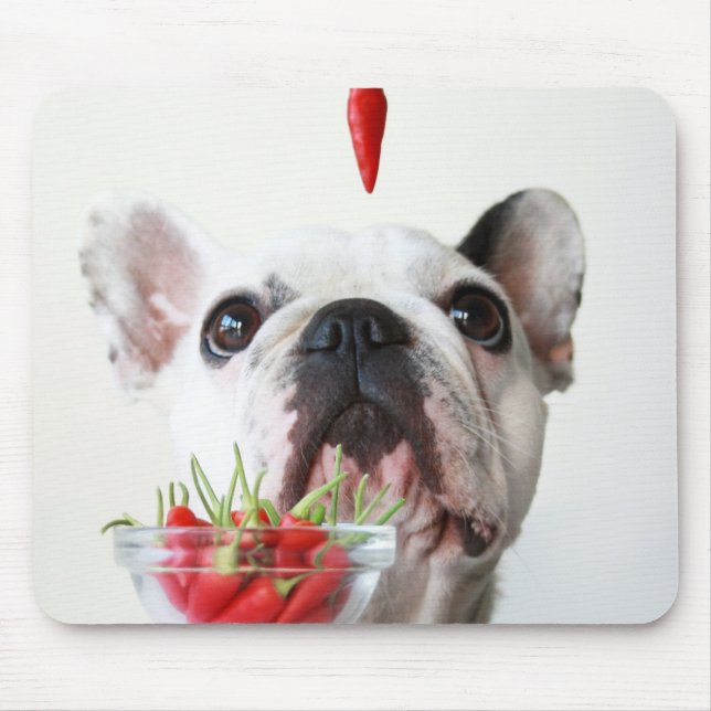 French Bulldog Looking At A Red Pepper Mouse Mat (Front)