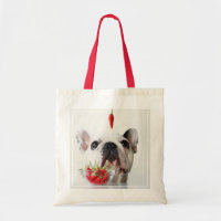 French Bulldog Looking At A Red Pepper