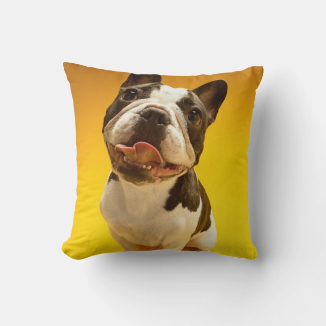 French Bulldog Looking Up Cushion (Front)