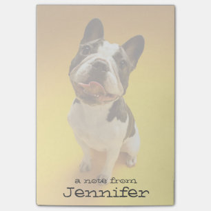 French Bulldog Looking Up Post-it Notes
