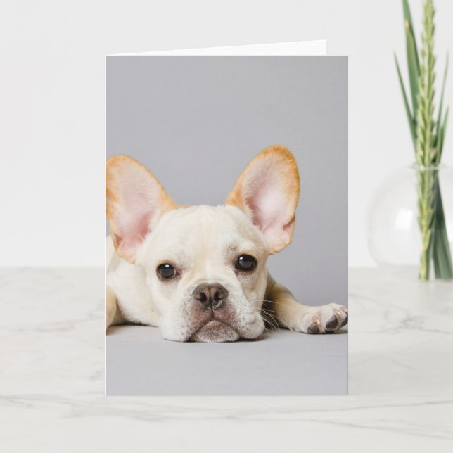 French Bulldog Lying Down Card (Front)