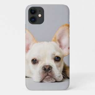French Bulldog Lying Down iPhone 11 Case