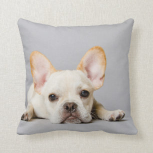 French Bulldog Lying Down Cushion