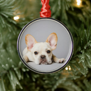 French Bulldog Lying Down Metal Tree Decoration