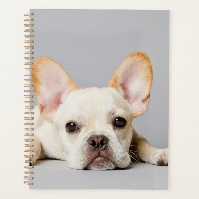 French Bulldog Lying Down Planner (Front)