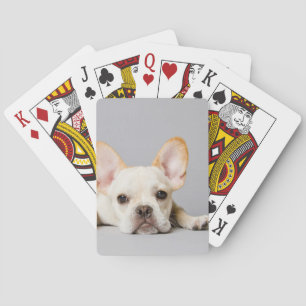 French Bulldog Lying Down Playing Cards