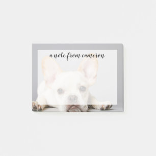 French Bulldog Lying Down Post-it Notes