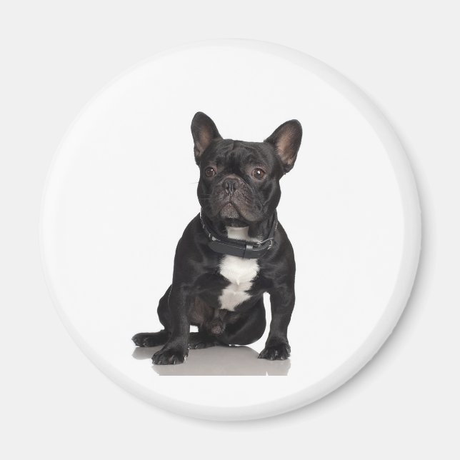 French Bulldog Magnet (Front)