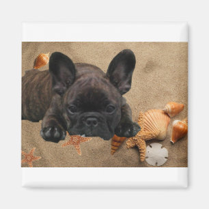 French bulldog magnet