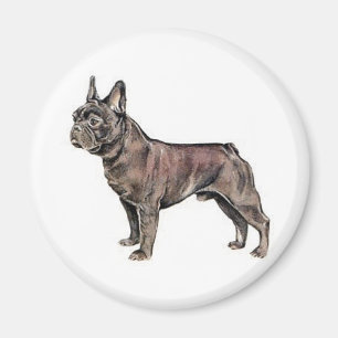 French Bulldog Magnet