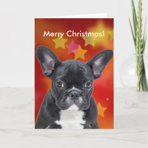 French Bulldog Merry Christmas Stars Card