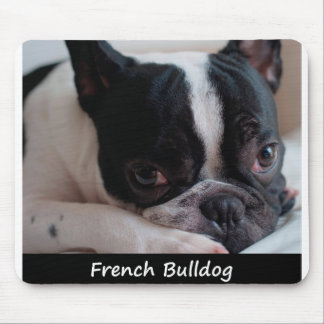 French Bulldog Mouse Mat