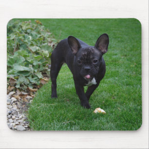 French Bulldog Mouse Mat