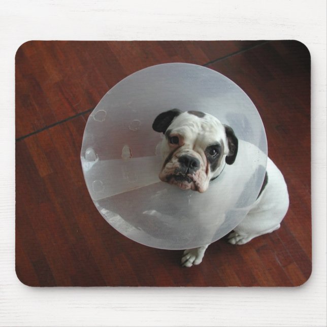 French Bulldog Mouse Mat (Front)