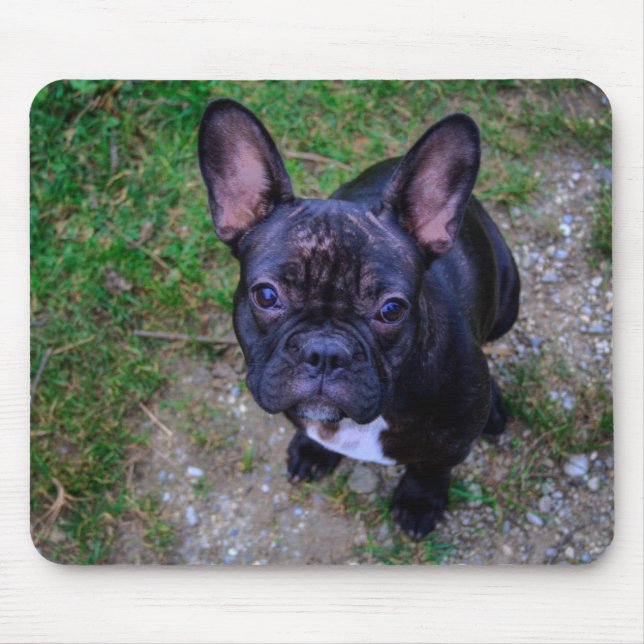 French Bulldog Mouse Mat (Front)
