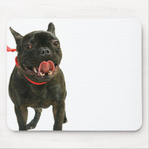 French Bulldog Mouse Mat