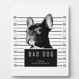 French Bulldog Mugshot Shirt Plaque