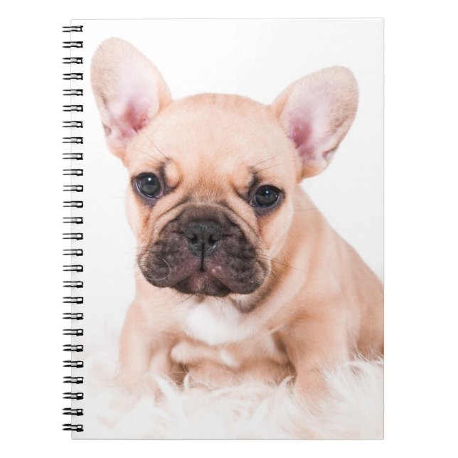 French Bulldog Notebook (Front)