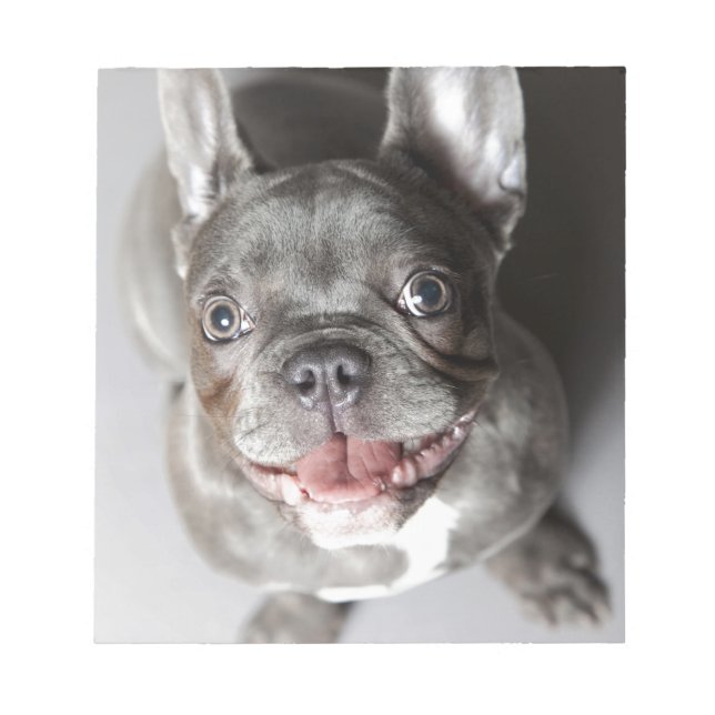 French bulldog notepad (Front)