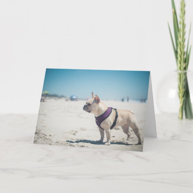 French Bulldog On Beach Card (Front)