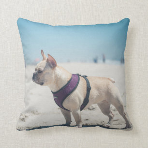French Bulldog On Beach Cushion