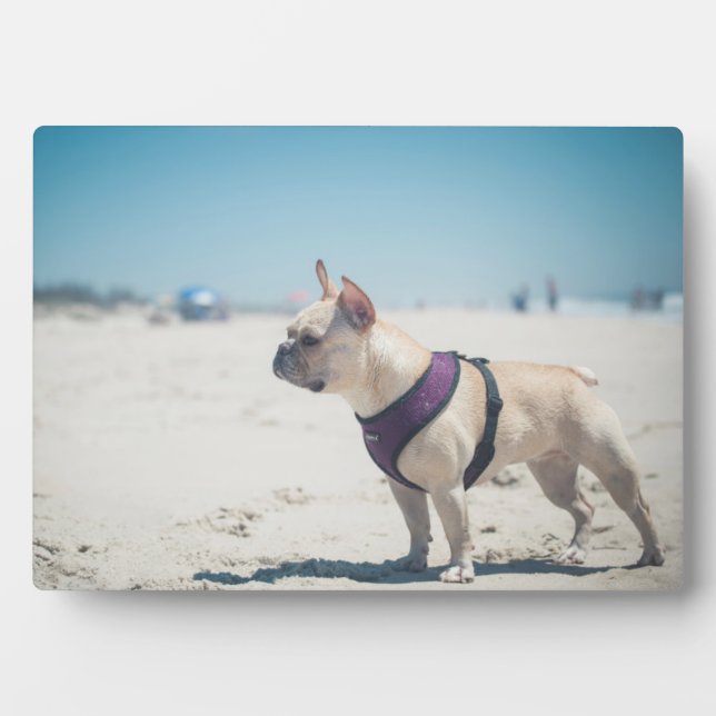 French Bulldog On Beach Plaque (Front)