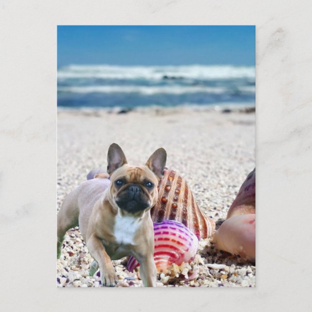 French Bulldog on the beach French Bulldog Postcard (Front)