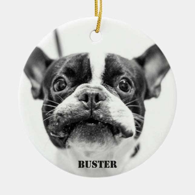 French Bulldog Ornament Add Custom Photo (Front)