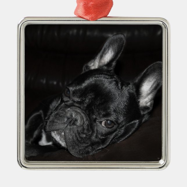 French Bulldog Ornament Metal Custom (Front)