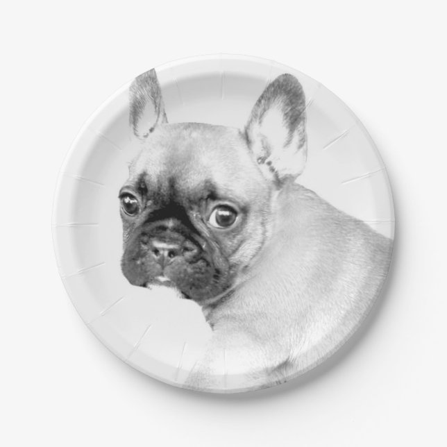 French Bulldog Paper Plate (Front)