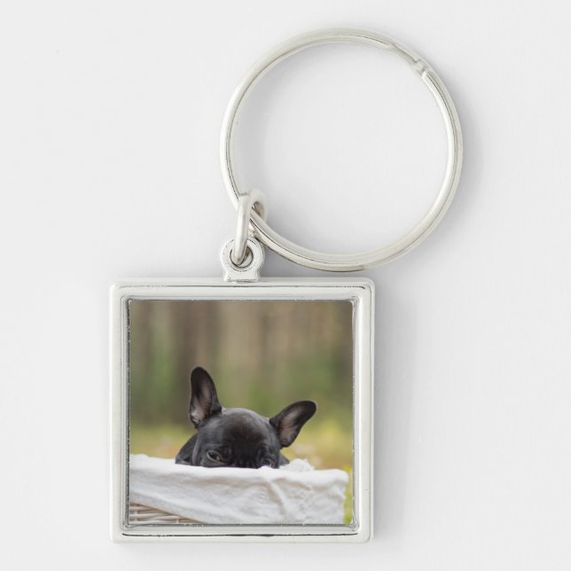 french bulldog peeking puppy key ring (Front)