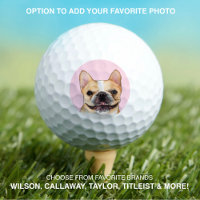 French Bulldog | Pet Dog Photo Modern Custom