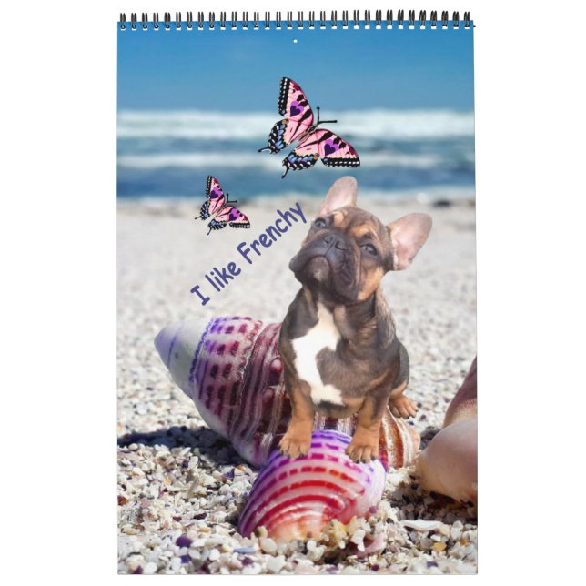 French Bulldog photo collection  Bulldog Calendar (Cover)