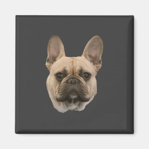 French Bulldog Photo Cute Face Picture Magnet