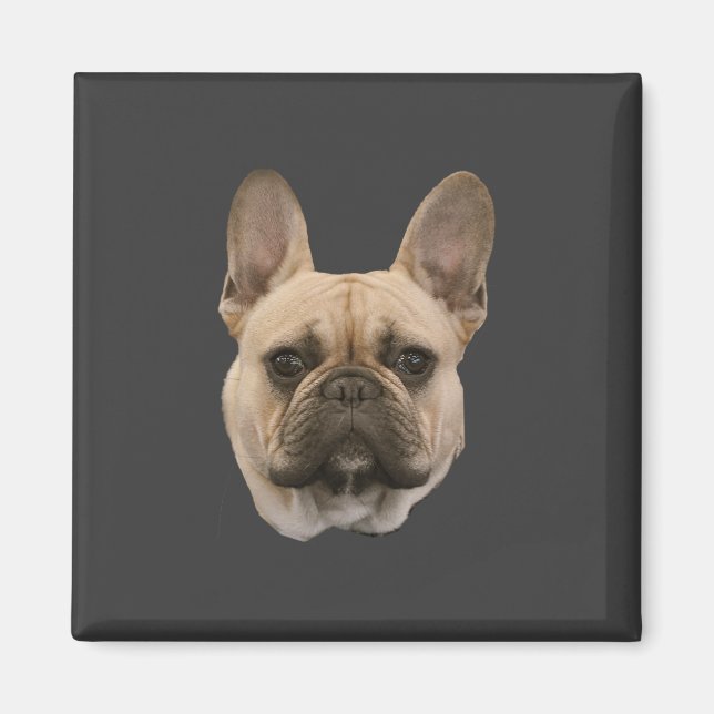 French Bulldog Photo Cute Face Picture Magnet (Front)