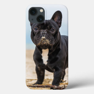 French Bulldog Playing in the Sand iPhone 13 Case