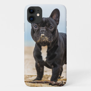 French Bulldog Playing in the Sand iPhone 11 Case