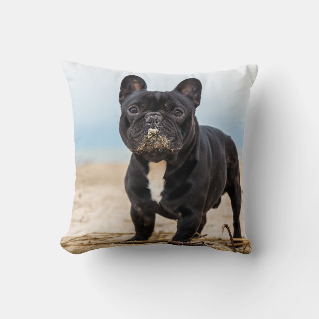 French Bulldog Playing in the Sand Cushion (Front)